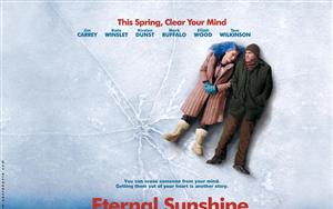 Eternal Sunshine of the Spotless Mind